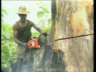 Deforestation. (1990 - 1999)