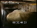 Footage Agriculture. (1990 - 1999)