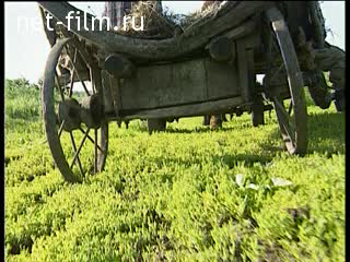 Footage Village life. (1990 - 1999)