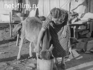 Сюжеты На строительстве Бухтарминской ГЭС.. (1957)
