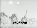Newsreel Daily News / A Chronicle of the day 1947 № 42 News of the day