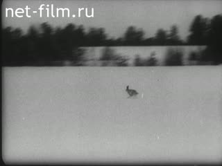 Фильм Спортивная зима. (1949)