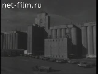 Киножурнал Новости дня / хроника наших дней 1969 № 41