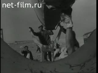 Newsreel Daily News / A Chronicle of the day 1961 № 39