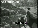 Сюжеты Штурм и взятие Эрзерума. (1916)