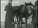 Сюжеты Штурм и взятие Эрзерума. (1916)