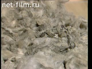 Footage Wool production in the world. (1995)