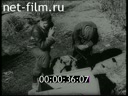 Сюжеты Немецкая хроника. (1939 - 1945)