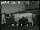 Footage Rehabilitation of agriculture in the USSR. (1943 - 1946)