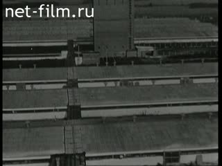 Киножурнал Новости дня / хроника наших дней 1976 № 41