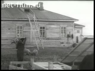 Сюжеты Арктика. (1946 - 1947)