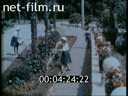 Фильм У теплого моря. (1940)