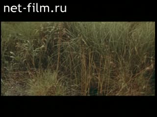 Фильм Слово о Ростове Великом.. (1963)