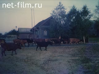 Film House-Warming In the Country.. (1982)