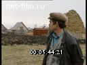 Footage On the farm. (1990 - 1999)