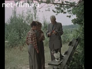 Newsreel Want to know everything 1957 № 3