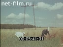 Фильм Истоки жизни. (1971)