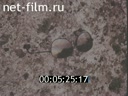 Фильм Биопотенциалы. (1988)