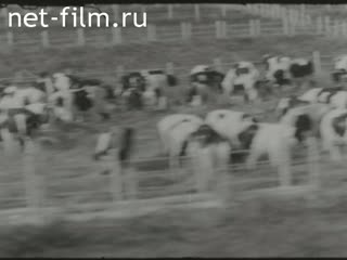Новости Зарубежные киносюжеты 1965 № 1075