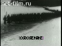 Сюжеты Февральская революция 1917 г.. (1917)