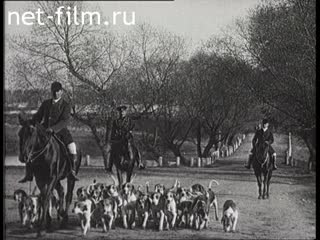Footage Chronicle of the beginning of XX century. (1900 - 1916)