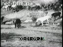 Footage Agricultural work. (1920 - 1929)