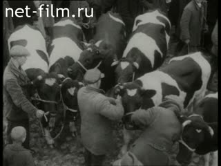 Footage Poland during the Second World War. (1939 - 1945)
