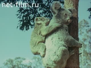 Фильм Австралия - города и люди. (1977)