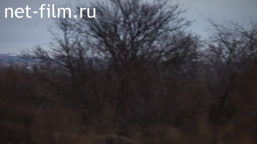 Footage Work of Gubkinskaya CHP.. (2012)
