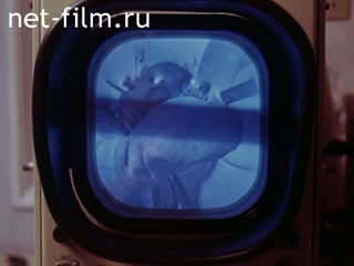 Newsreel Want to know everything 1981 № 137