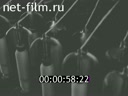 Новости Зарубежные киносюжеты 1963 № 823