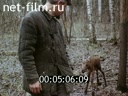 Film Domestication of moose. (1980)