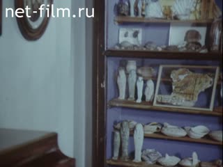 Film Visit to Polenov. (1991)