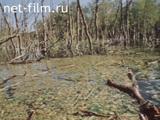 Фильм Имена на карте. В Камчатку. (1987)