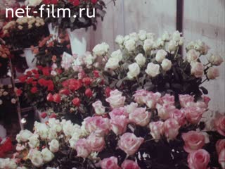 Film World of Flowers. (1995)