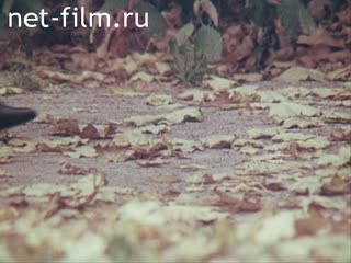 Фильм Мода 89-90. (1988)