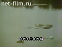 Фильм Ярославский портрет.. (1993)