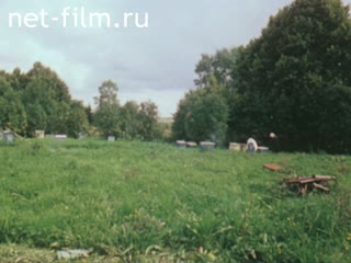 Film The Agro-industrial Integrated Plant "Vologda". (1989)