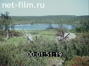 Фильм Страна Лапландия. (1995)