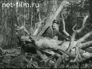 Film Bialowieza Forest. (1950 - 1959)