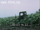 Film Mountain Crimea. (1987)