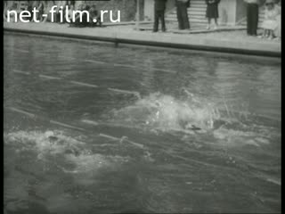 Киножурнал Советский спорт 1954 № 5