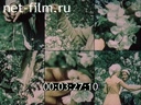 Фильм Саду цвесть. (1983)