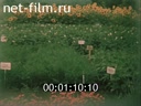 Film Garden will bloom. (1983)