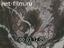 Фильм Природа Урала. (1983)