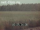Фильм Новосибирская - 67. (1974)