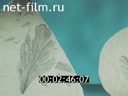 Фильм Только Урал. (1973)
