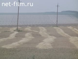 Film Strong wheat intensive technology. (1987)
