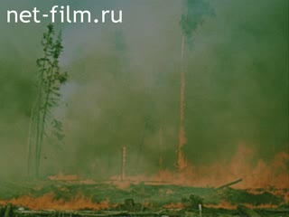 Film The latest detection of forest fires. (1985)