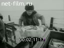 Киножурнал Советский Урал 1986 № 31